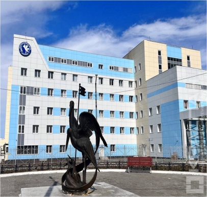 Перинатальный центр, Норильск